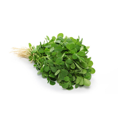 Fenugreek (Methi)