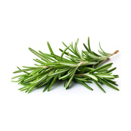 Rosemary Organically