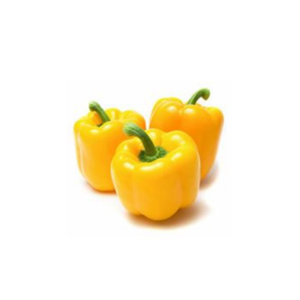 Yellow Capsicum (Pida sheemla-marcha)