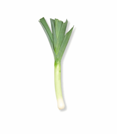 Leek