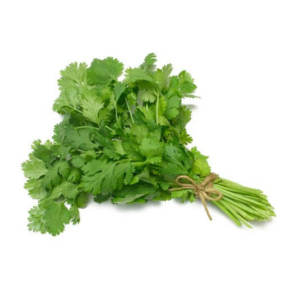 Fresh Coriander (Kothmir)