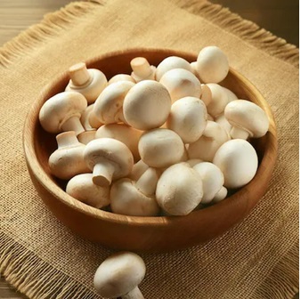 Button Mushroom